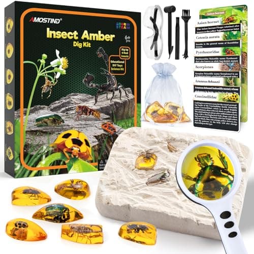 Amber Mega Fossil Dig Kit，Real Crystals & Gemstone Fossil Science Kits for Kids Age 6 7 8 9 10， Rocks & Stones & Bugs Excavation Kits， Educational Toys Gifts Toys for 6+ Year Old Girls Boys